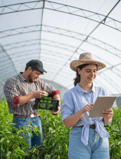 Agribusiness-1