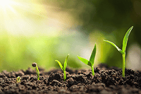 agriculture
