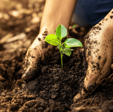 Agriculture